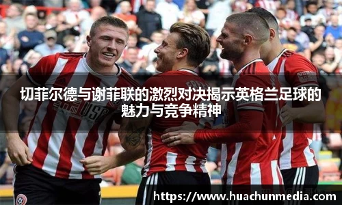 米兰体育官方网站